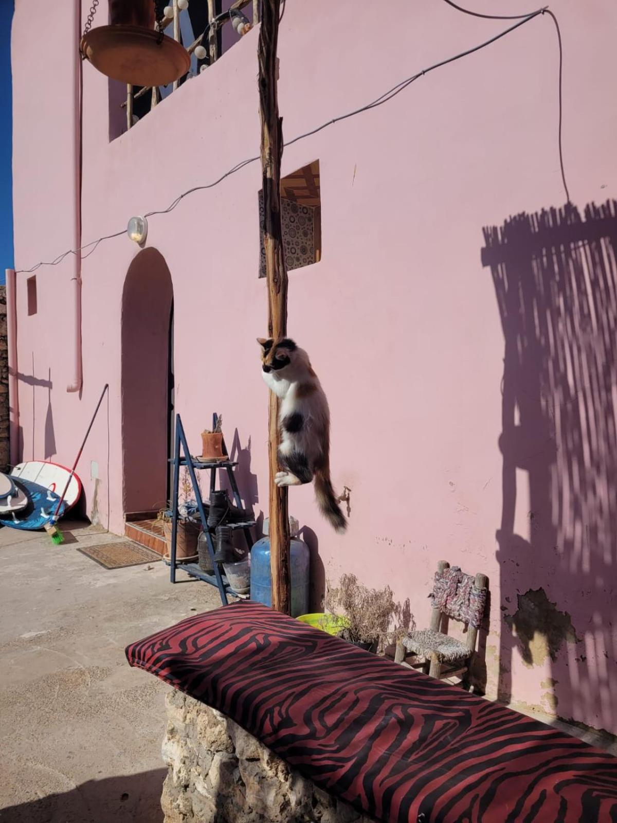 Home Surf Sidi Kaouki Extérieur photo